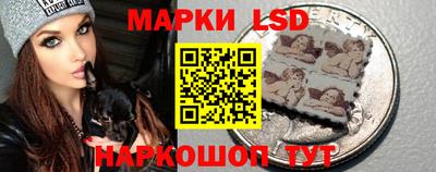 молекула духа Новозыбков